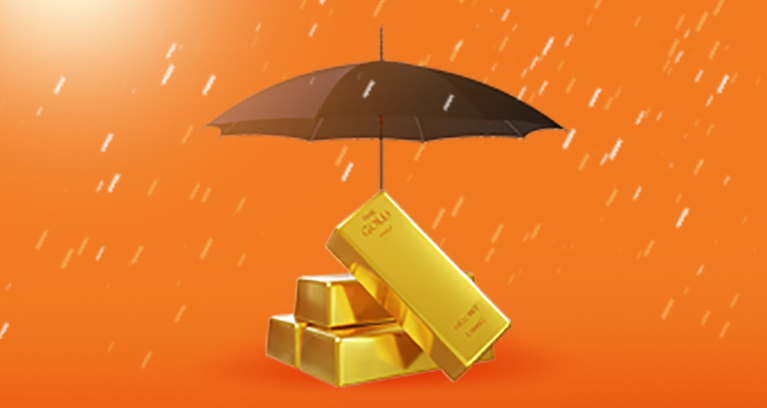 Our Service - Insurance